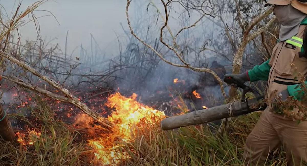 Los incendios en Bucaramanga se presentan desde el inicio del fin de semana. Foto: Youtube