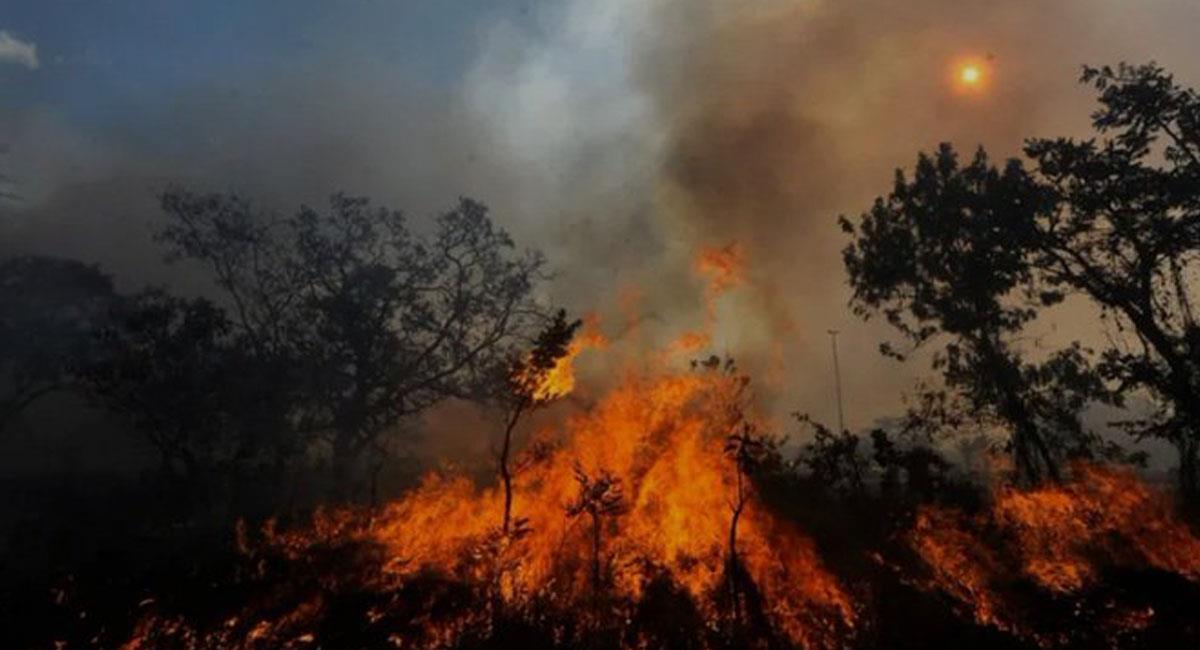 Ante la gravedad de los incendios forestales en Colombia, ha sido solicitada la ayuda internacional. Foto: Twitter @tatoamericano