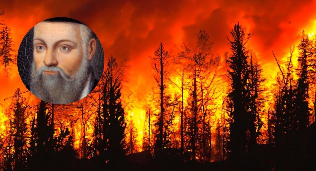 Nostradamus habría predicho los incendios en Colombia y otras zonas del mundo. Foto: Shutterstock