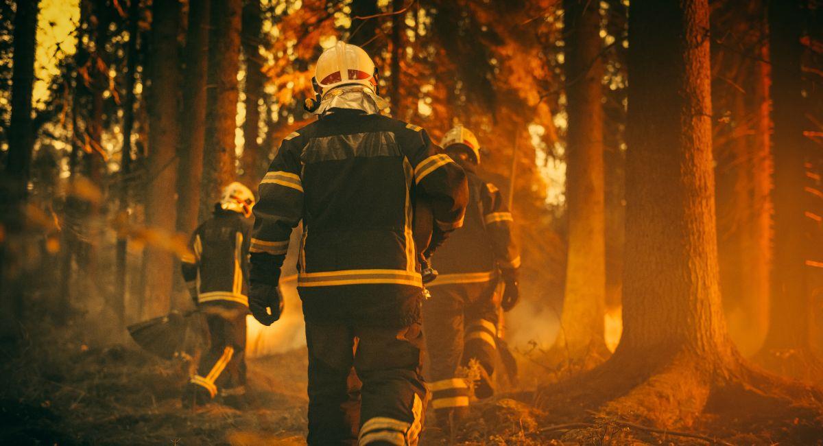 Alcaldes deben firmar convenios con cuerpos de bomberos, según presidente Petro. Foto: Shutterstock