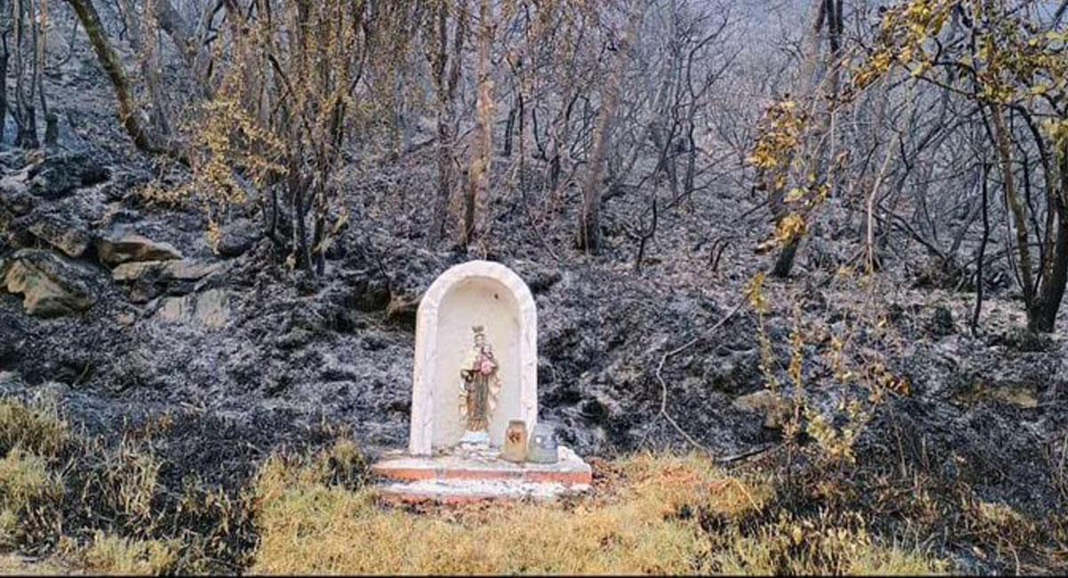 Una imagen de la Virgen resultó intacta en medio de un incendio forestal en Norte de Santander. Foto: Twitter @estefaniameira