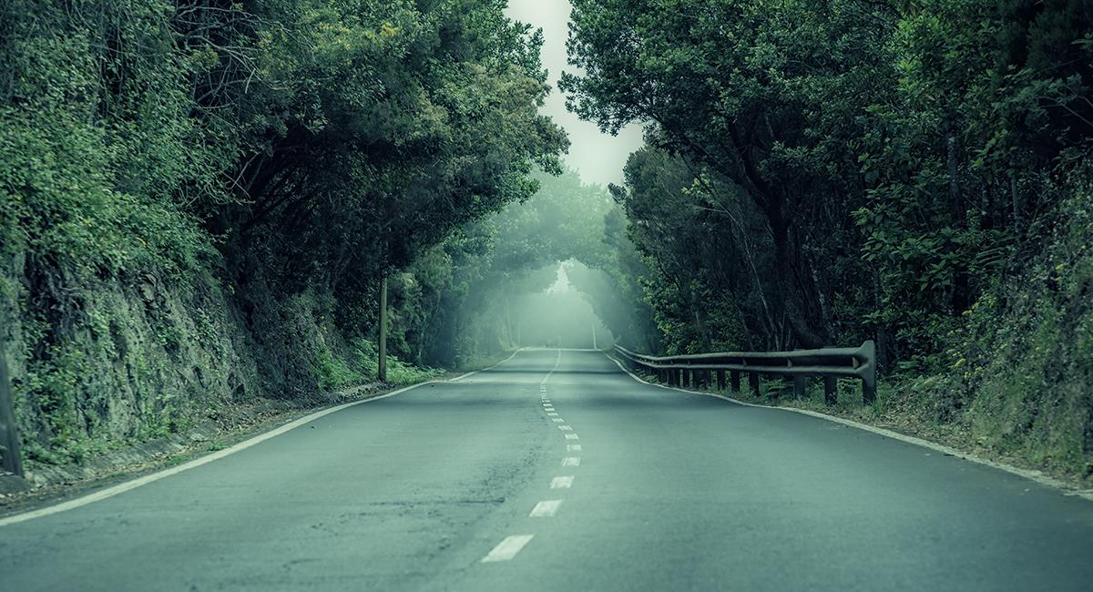5 carreteras del mundo por las que nadie transitar: dicen que ocurren cosas paranormales. Foto: Shutterstock
