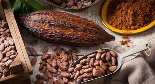 El cacao colombiano se posiciona entre los cinco mejores del mundo