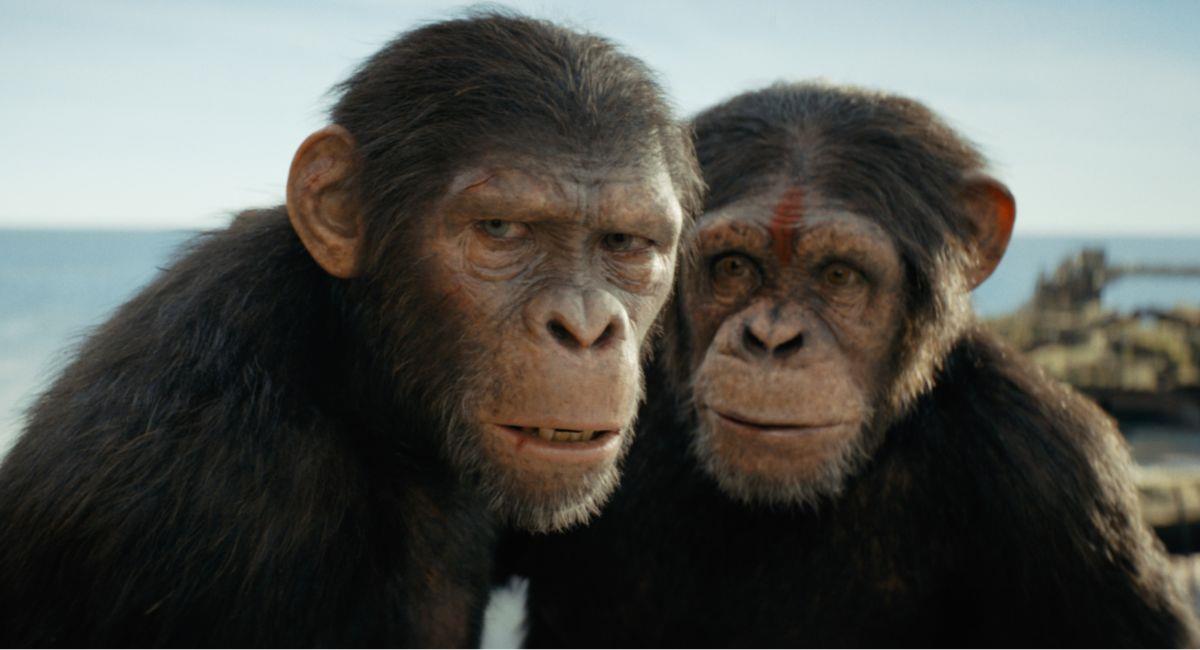 "El Reino del Planeta de los Simios" llegará en pocos meses a los cines de Colombia. Foto: Prensa Disney