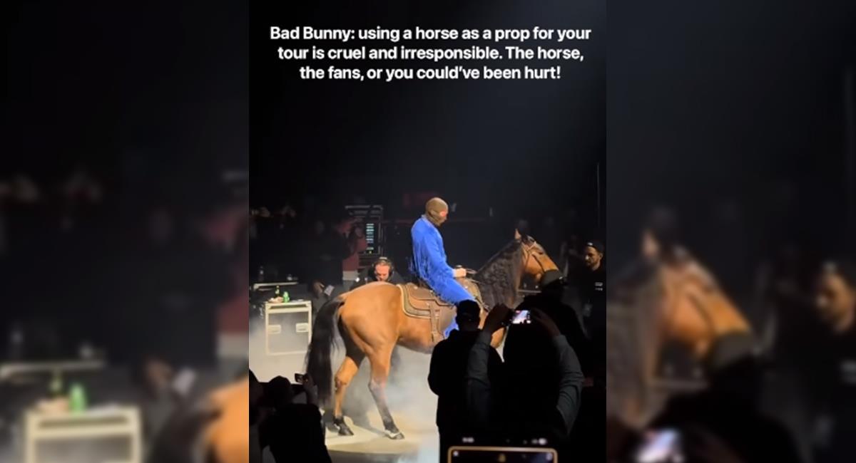 ¿Maltrato animal? Fuertes críticas contra Bad Bunny por subir un caballo al escenario. Foto: Instagram @peta