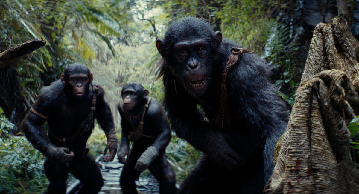 "El Reino del Planeta de los Simios" llegará en mayo a todos los cines de Colombia. Foto: Prensa Disney
