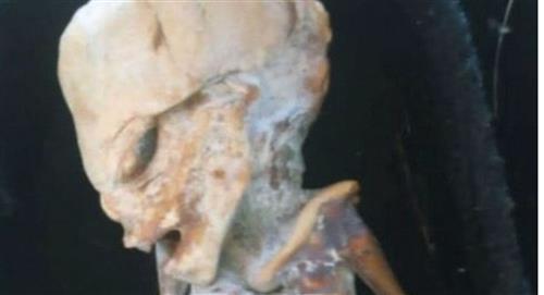 Analizan cuerpo de “alienígena” encontrado en Colombia