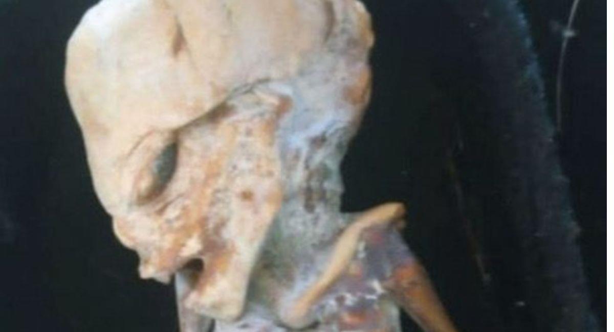 Analizan cuerpo de “alienígena” encontrado en Colombia. Foto: Twitter