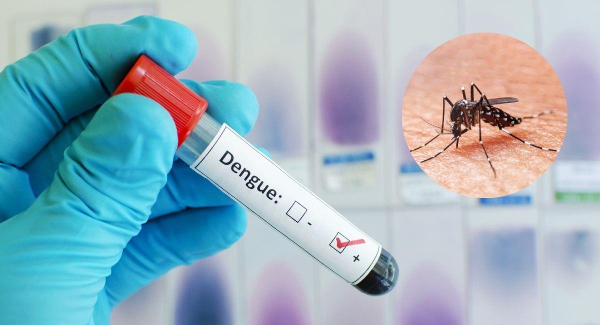 Brote de dengue en Colombia: 7.636 casos en 1 semana. Foto: Shutterstock