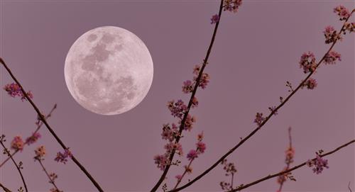 Luna de Gusano será la próxima luna llena del 2024