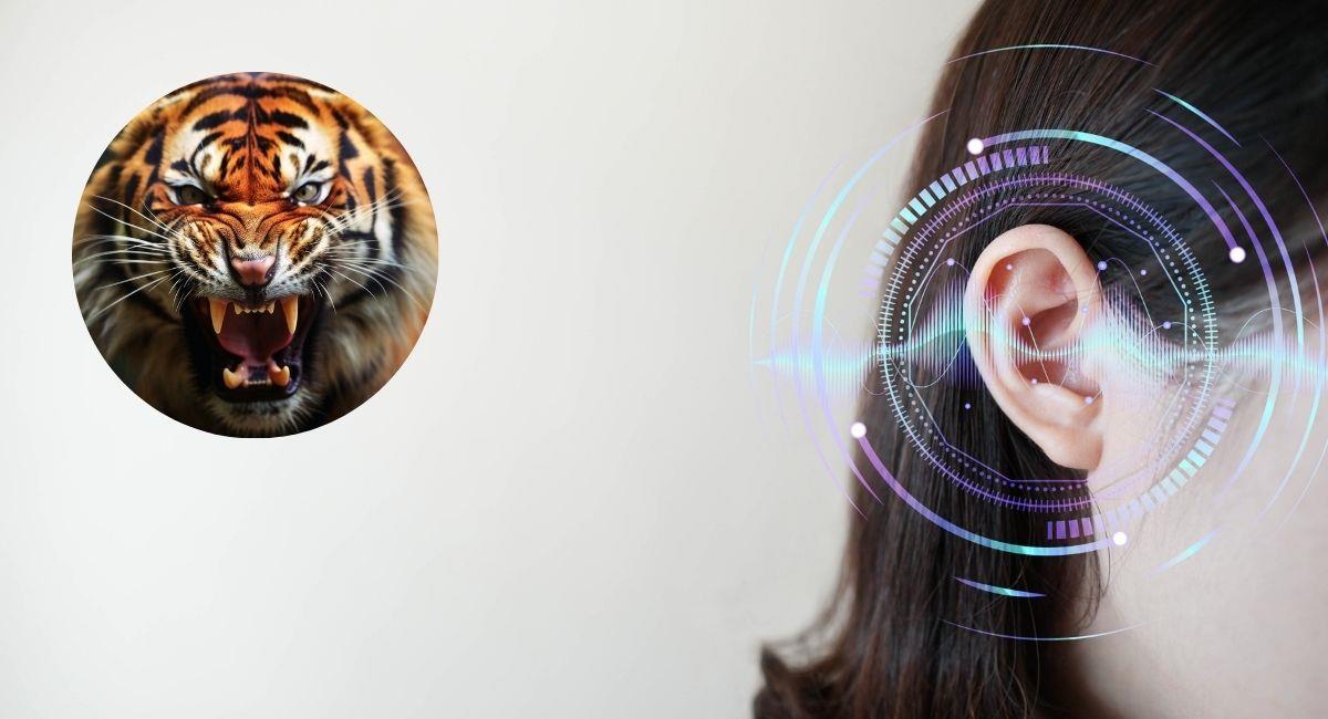 Si escuchas estos 5 sonidos, probablemente eres un superhumano. Foto: Shutterstock