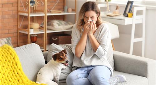 5 consejos para evitar las reacciones alérgicas a mascotas