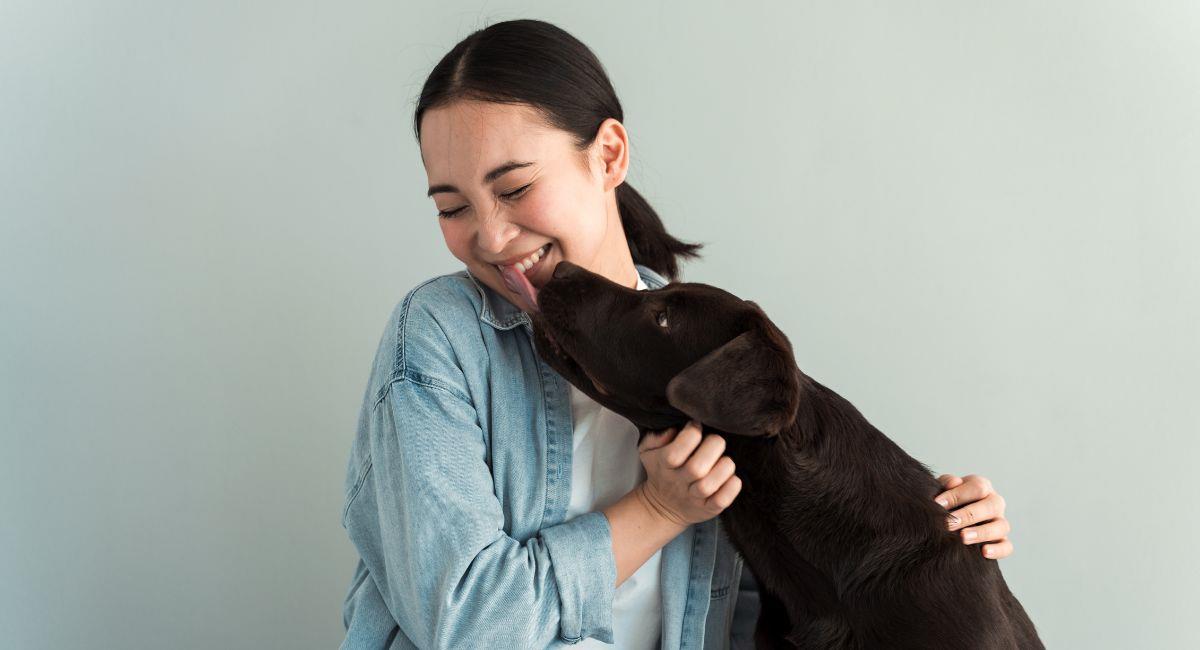Estos son los riesgos de dejarse lamer la cara por un perro. Foto: Shutterstock