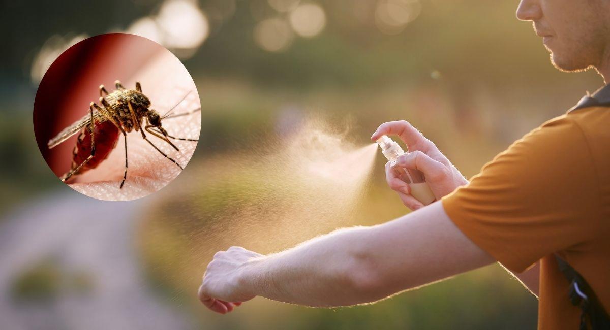 Cuídese de las picaduras de mosquitos en esta Semana Santa. Foto: Shutterstock