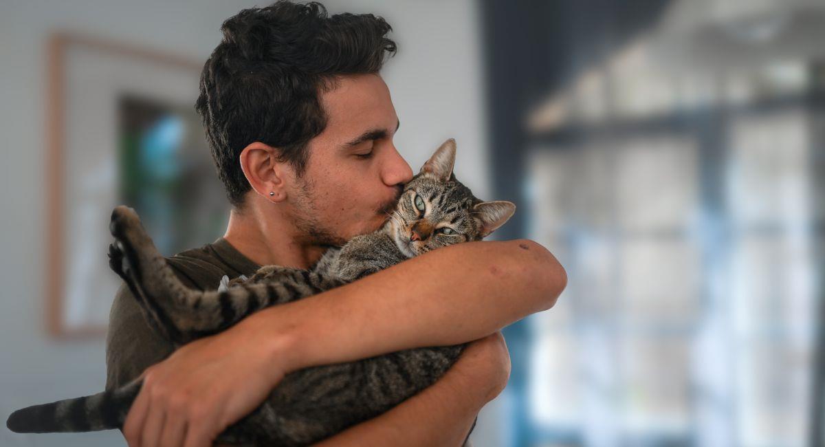 Gana hasta 10.000 dólares por abrazar gatitos. Foto: Shutterstock
