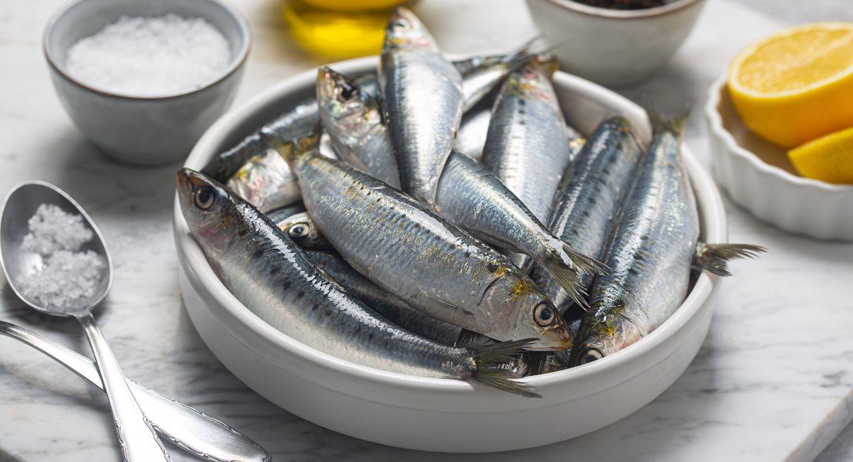 Alimentación a base de sardinas salvaría la vida de 700.000 personas en 2050. Foto: Shutterstock