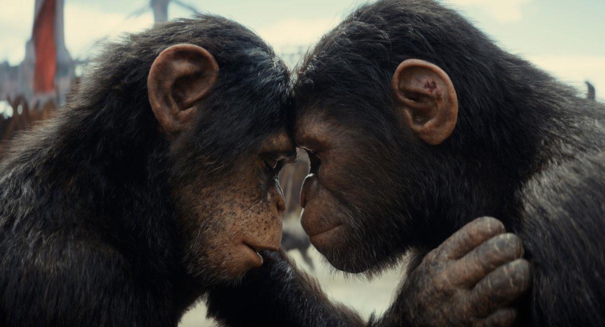 "El Planeta de los Simios: Nuevo Reino" llegará muy pronto a los cines de Colombia. Foto: Prensa Disney