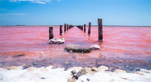 Mar rosado de Galerazamba: El destino de ensueño entre Barranquilla y Cartagena