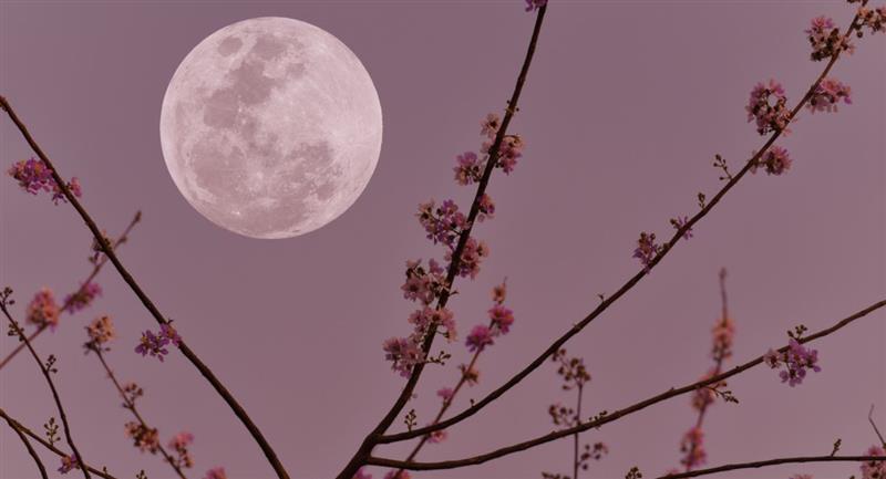 Luna llena Rosa de abril: ¿Cómo y cuándo verla en Bogotá?