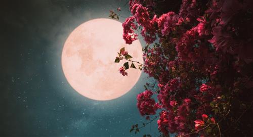La Luna llena Rosa se podra ver desde Colombia