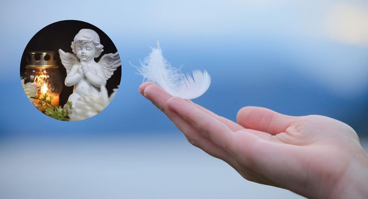 Conoce el significado espiritual de encontrar plumas en el hogar. Foto: Shutterstock