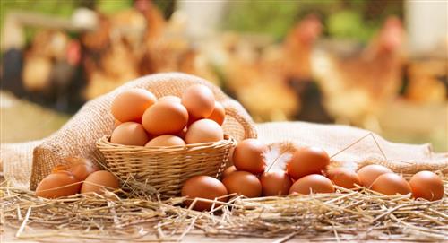 Trucos para saber si un huevo está dañado y evitar malas experiencias