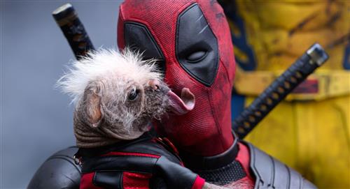 ¡El dúo dinámico regresa! Imágenes inéditas de "Deadpool y Wolverine" sacuden las redes