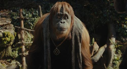Ya hay veredicto sobre "El Planeta de los Simios: Nuevo Reino" en Rotten Tomatoes